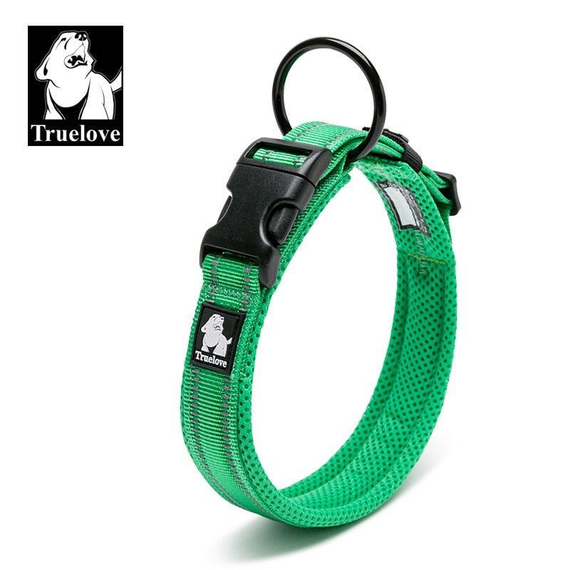 Collier réfléchissants toutes tailles - Tao-K9