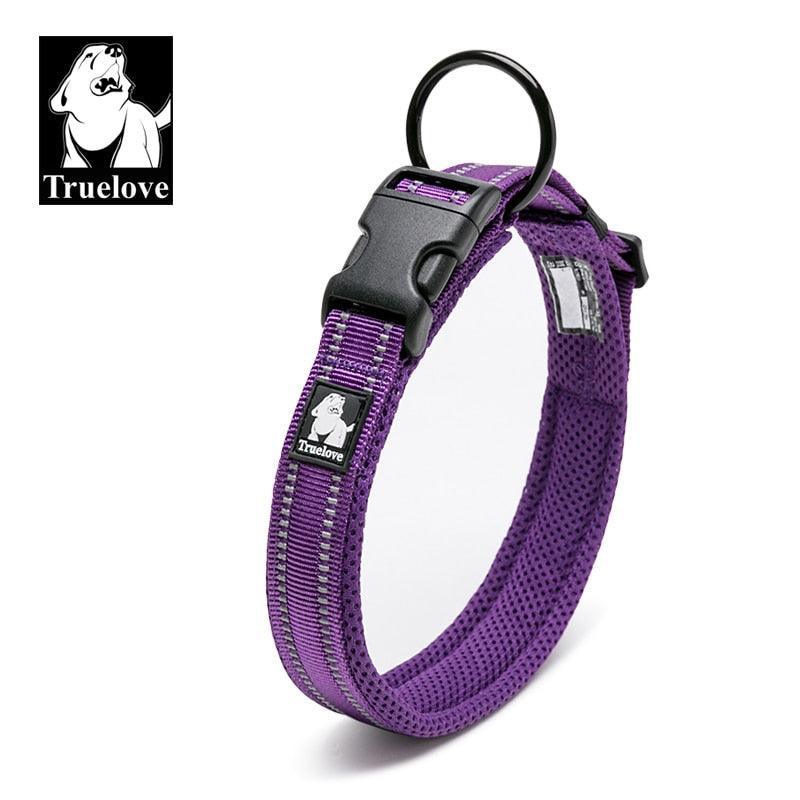 Collier réfléchissants toutes tailles - Tao-K9