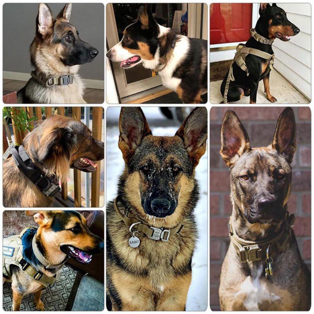 Collier Tactique - Collier pour chien avec poignée de contrôle - Tao-K9