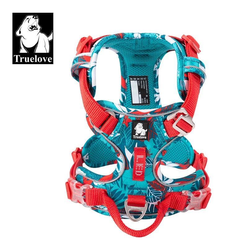 Happy - Harnais anti traction - Tao-K9