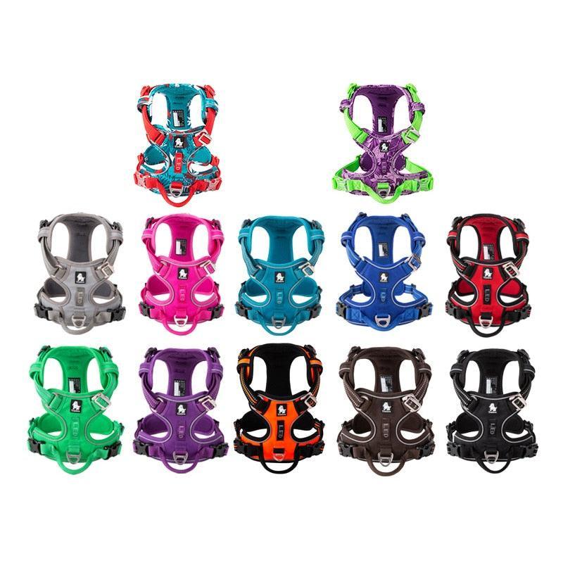Happy - Harnais anti traction - Tao-K9