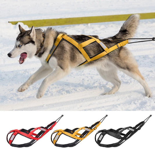 Harnais Cani-VTT Cani-Cross - Tao-K9