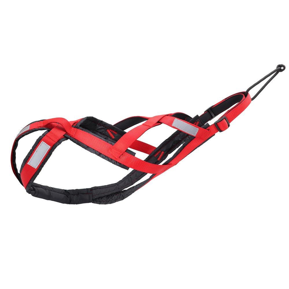 Harnais Cani-VTT Cani-Cross - Tao-K9