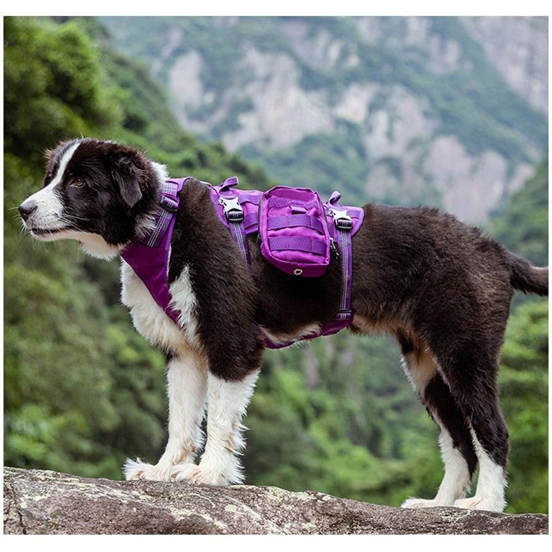 Harnais Classic Bak - sac à dos TrueLove - Tao-K9