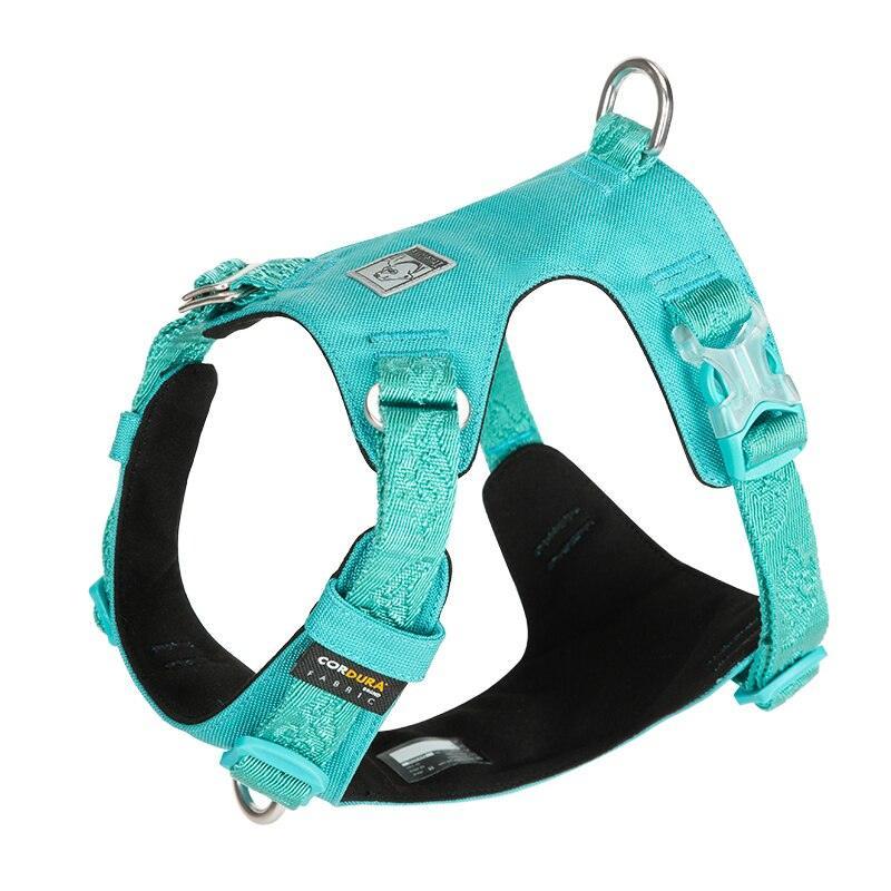 Harnais Classic TrueLove - Tao-K9