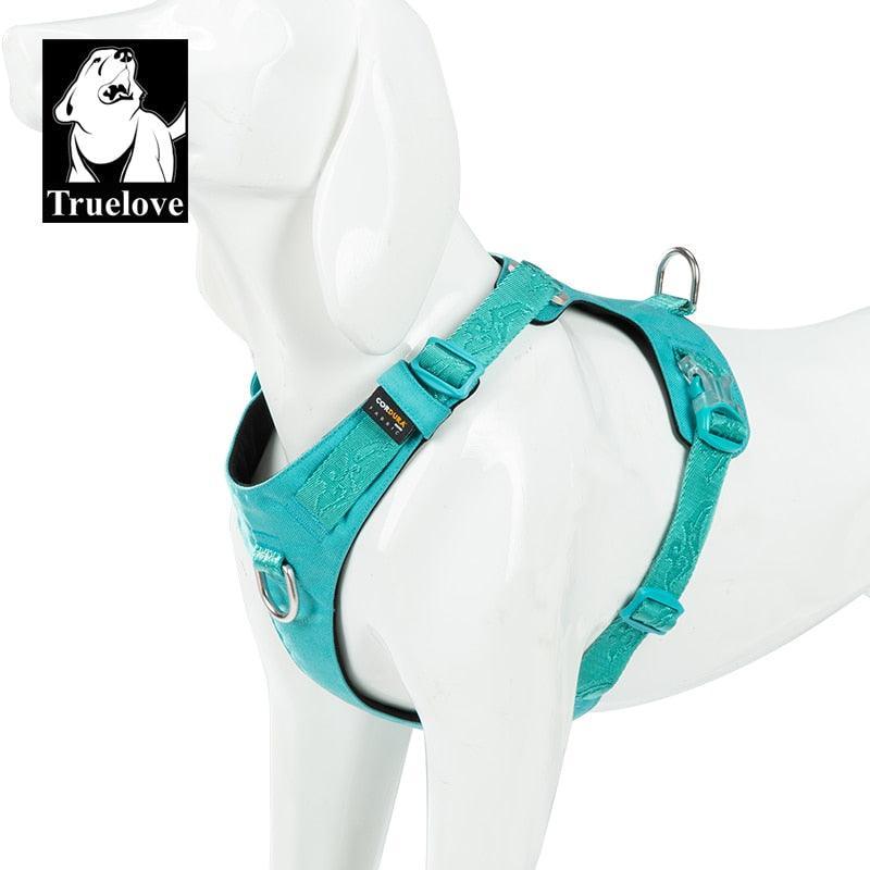 Harnais Classic TrueLove - Tao-K9
