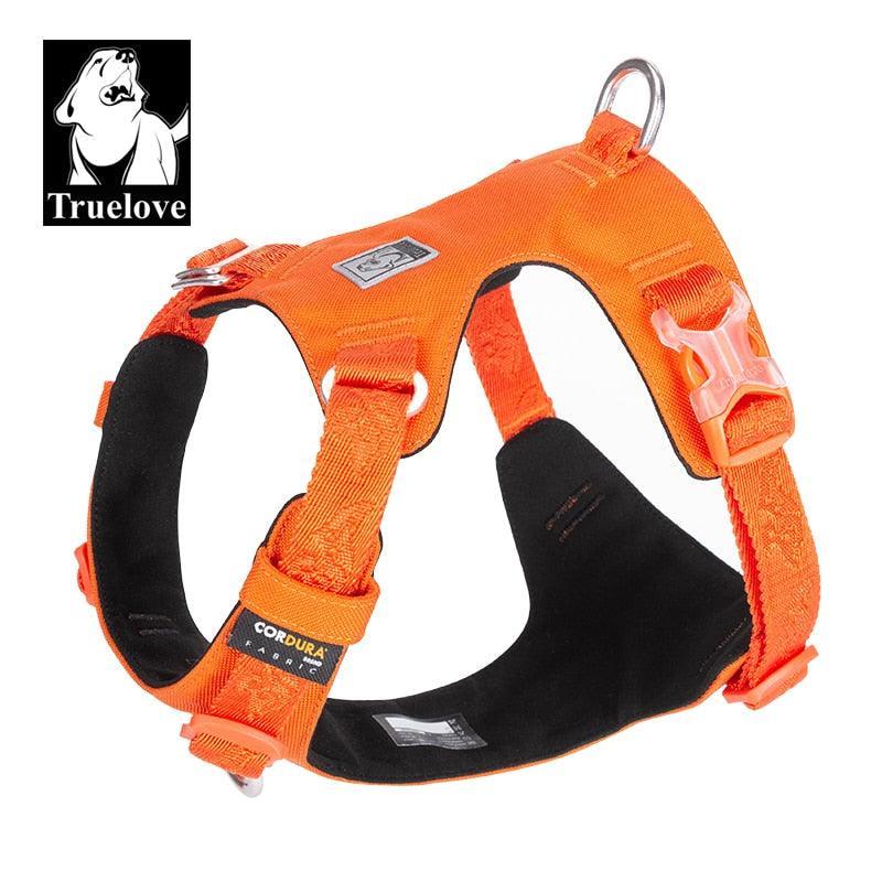 Harnais Classic TrueLove - Tao-K9