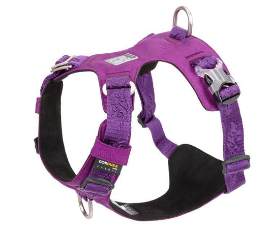 Harnais Classic TrueLove - Tao-K9