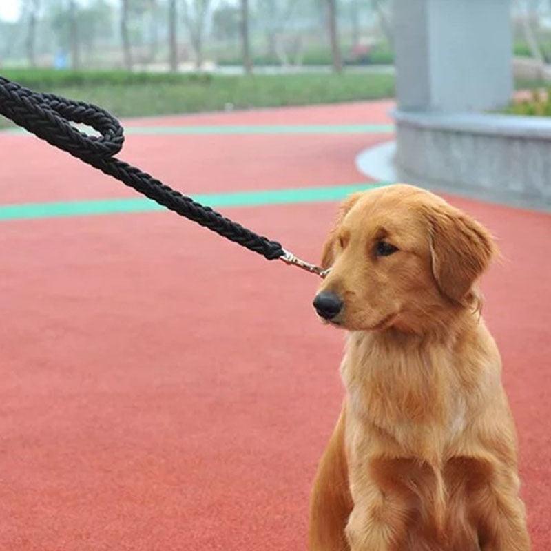Laisse courte renforcée - chiens puissants - Tao-K9