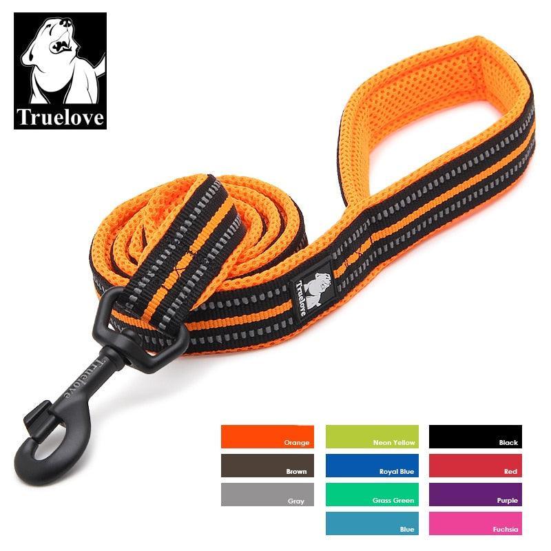 Laisse souple en Nylon TrueLove, réfléchissante, 11 couleurs, 200cm - Tao-K9