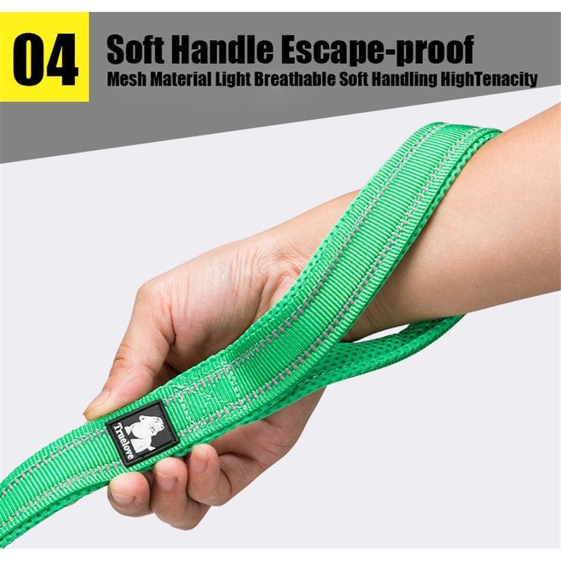 Laisse souple en Nylon TrueLove, réfléchissante, 11 couleurs, 200cm - Tao-K9