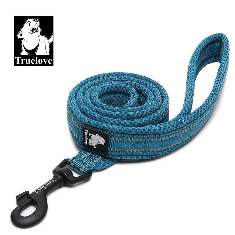Laisse souple en Nylon TrueLove, réfléchissante, 11 couleurs, 200cm - Tao-K9