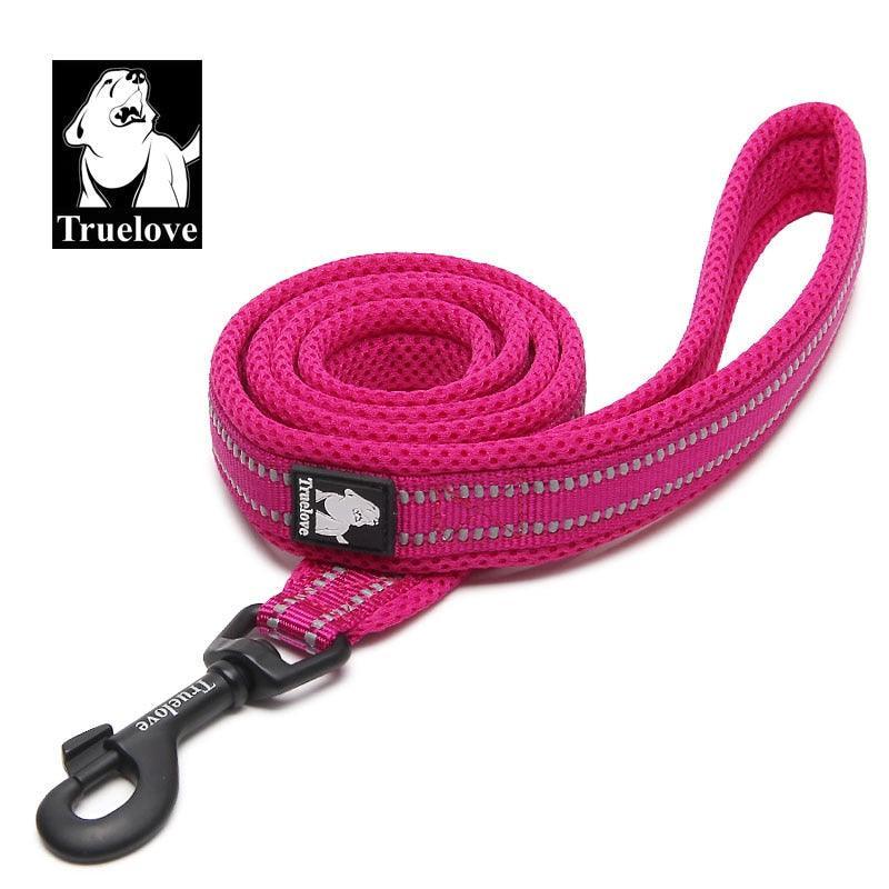 Laisse souple en Nylon TrueLove, réfléchissante, 11 couleurs, 200cm - Tao-K9