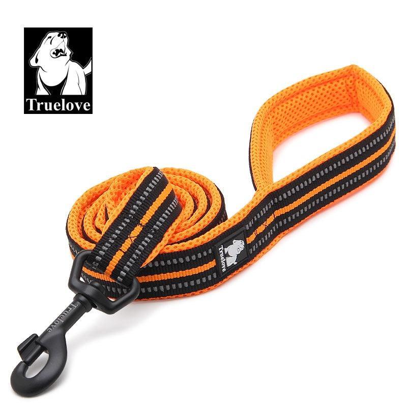 Laisse souple en Nylon TrueLove, réfléchissante, 11 couleurs, 200cm - Tao-K9