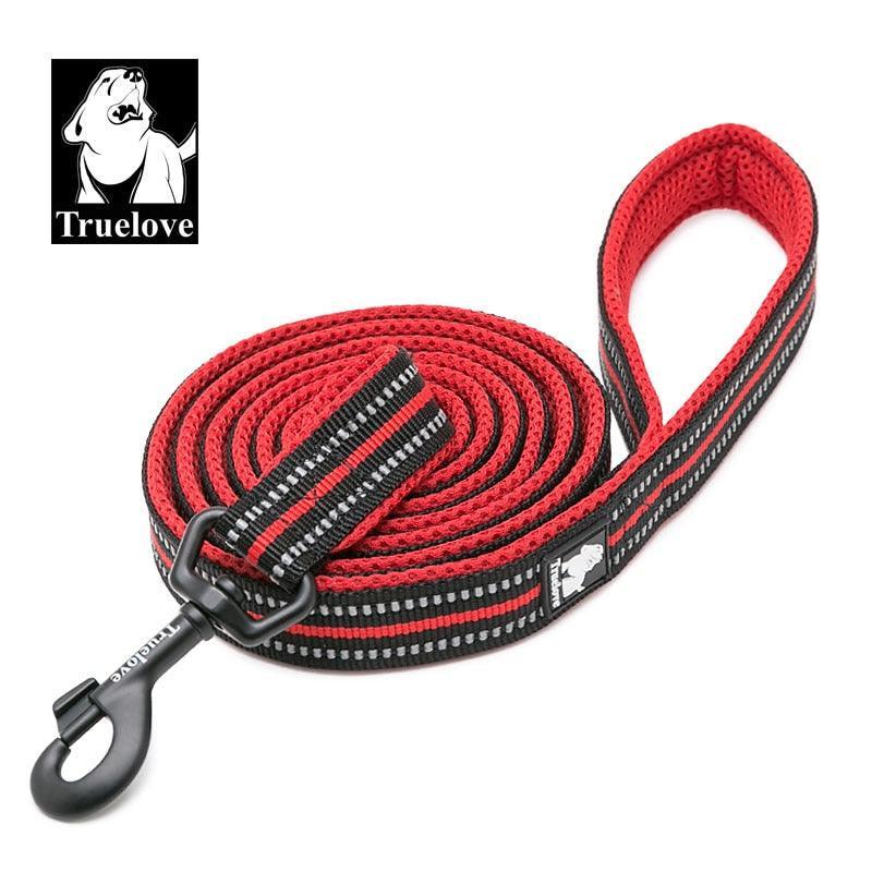 Laisse souple en Nylon TrueLove, réfléchissante, 11 couleurs, 200cm - Tao-K9