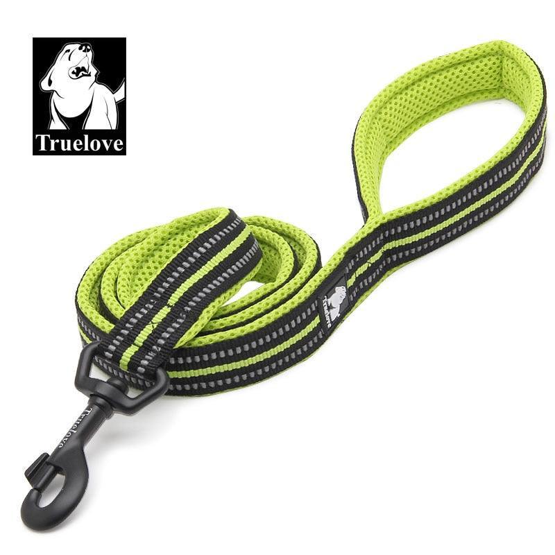 Laisse souple en Nylon TrueLove, réfléchissante, 11 couleurs, 200cm - Tao-K9