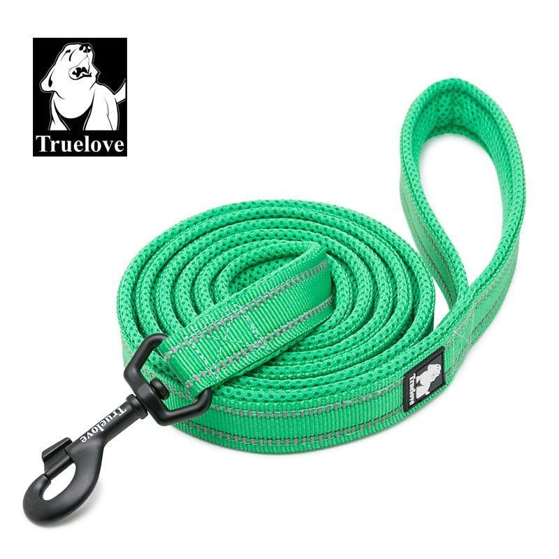 Laisse souple en Nylon TrueLove, réfléchissante, 11 couleurs, 200cm - Tao-K9
