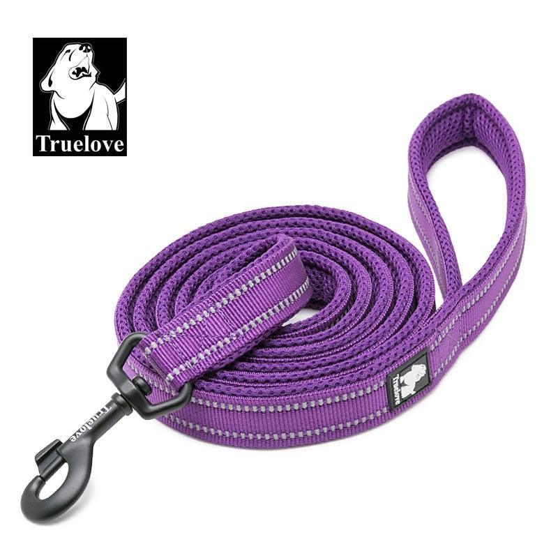 Laisse souple en Nylon TrueLove, réfléchissante, 11 couleurs, 200cm - Tao-K9