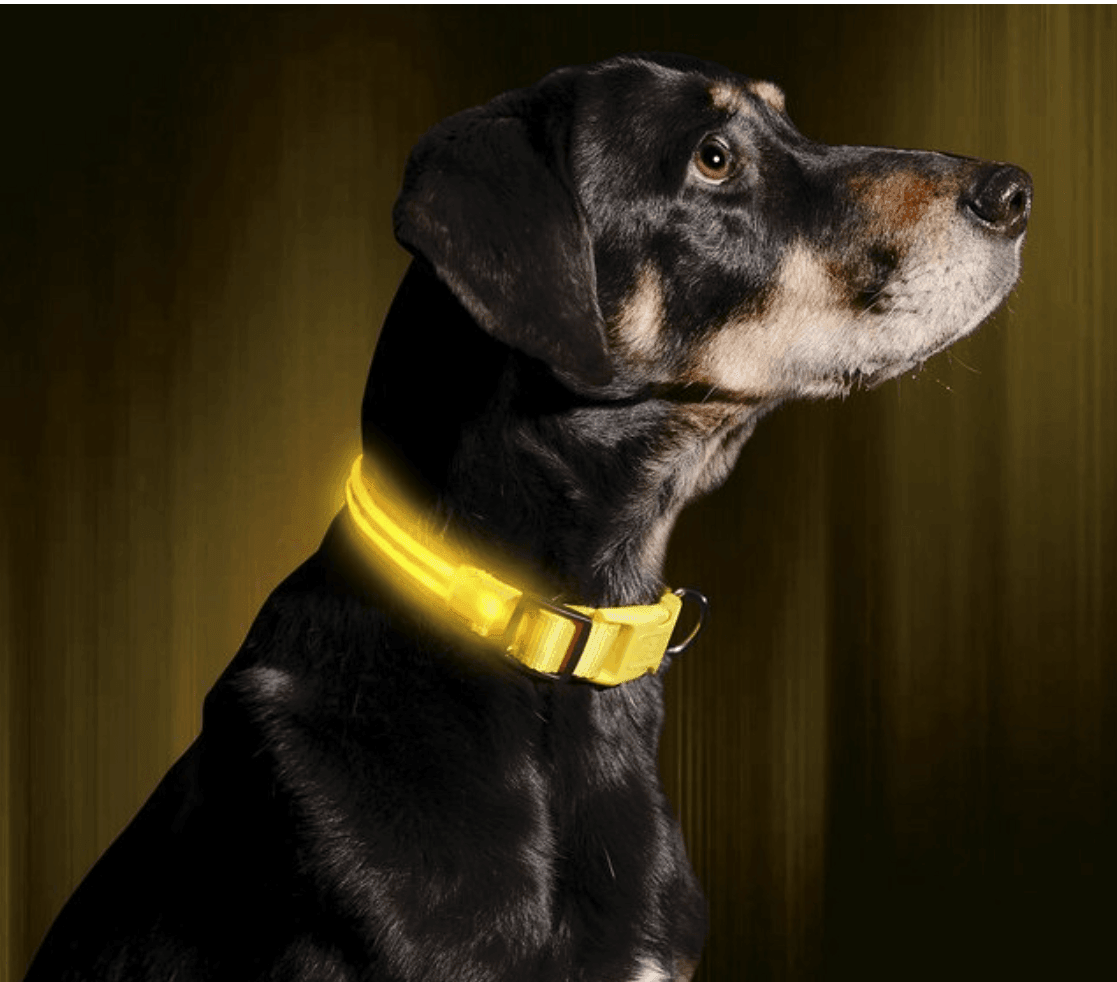 Le Dog Light Nylon - Tao-K9
