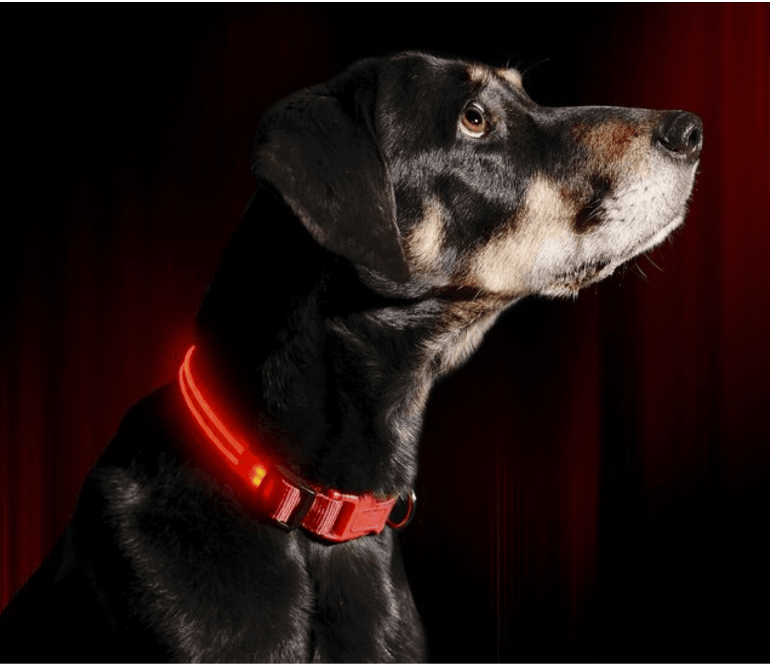 Le Dog Light Nylon - Tao-K9
