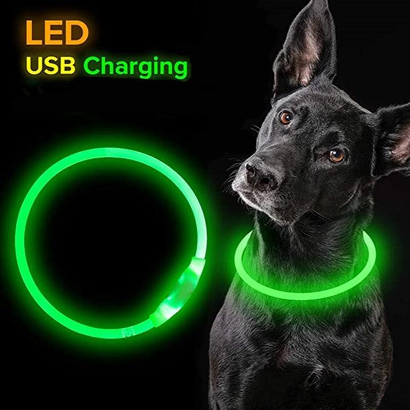 Le Dog Light - Tao-K9