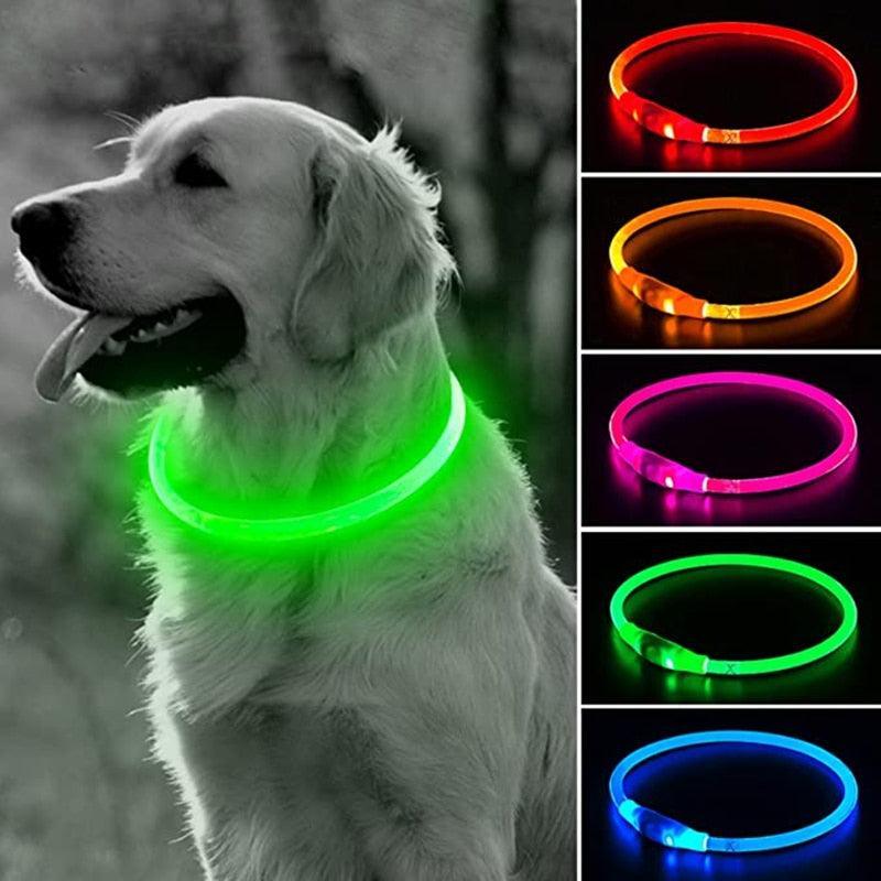 Le Dog Light - Tao-K9