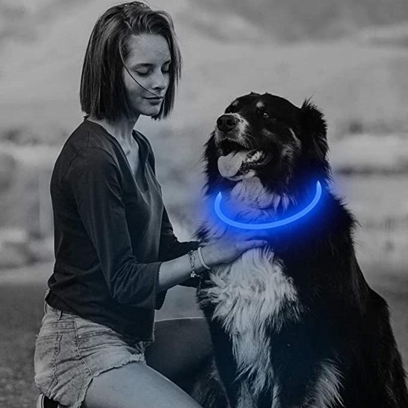 Le Dog Light - Tao-K9