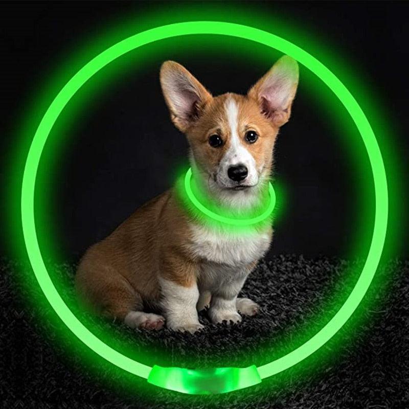 Le Dog Light - Tao-K9