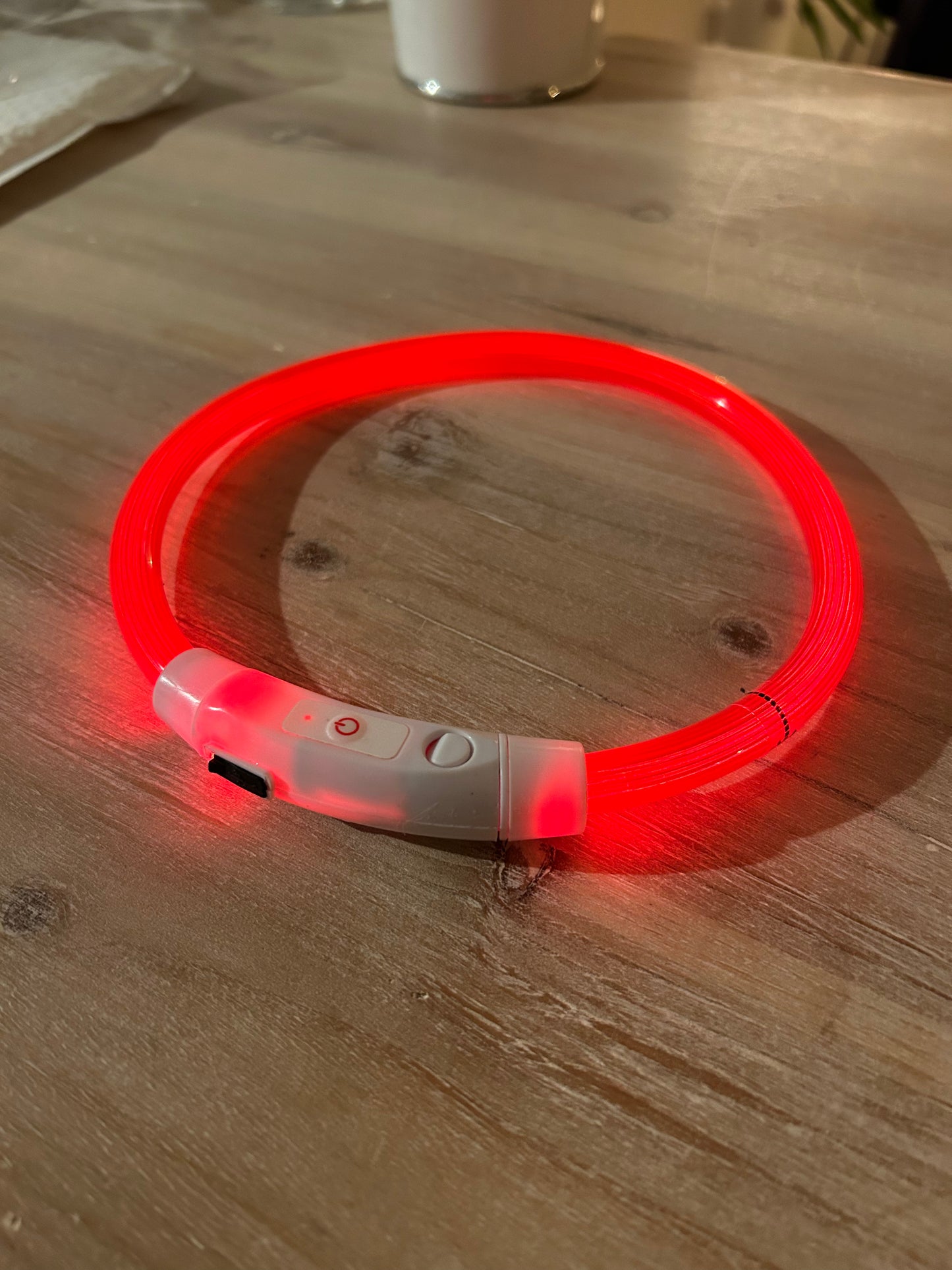 Le Dog Light - Tao-K9