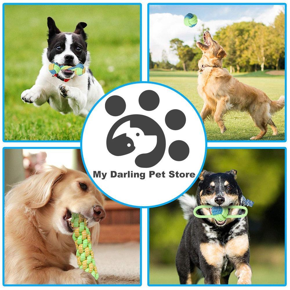 Lot de 4 balles en cordes vert et bleu - Tao-K9