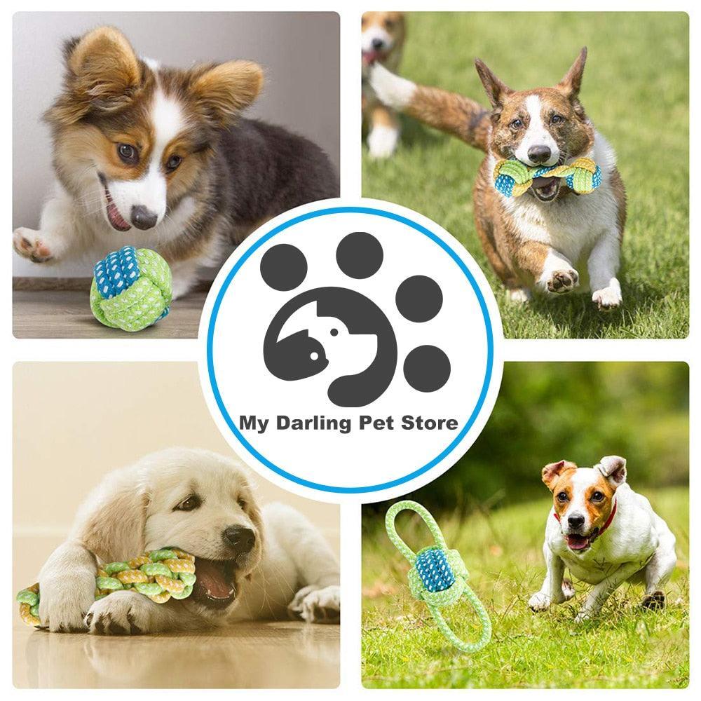 Lot de 4 balles en cordes vert et bleu - Tao-K9