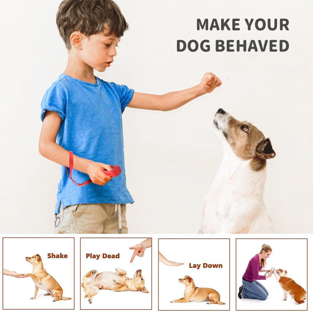 MASBRILL Clicker d'entraînement pour chien - Tao-K9