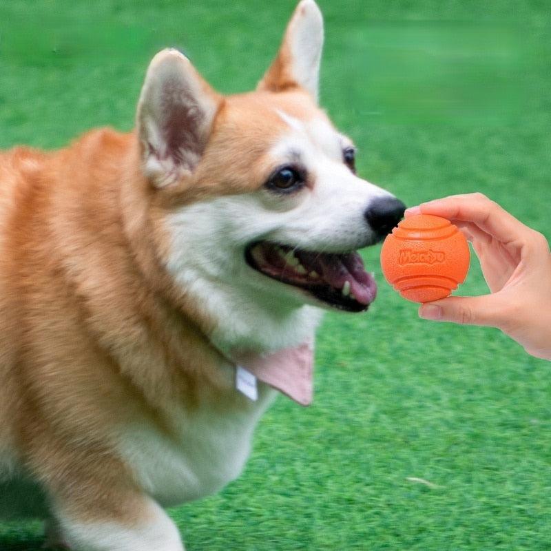 Mei - La balle "quasi" indestructible - Tao-K9