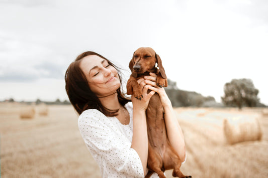 La relation unique entre les chiens et les humains : Comprendre les bienfaits, les rôles et les soins responsables - Tao-K9