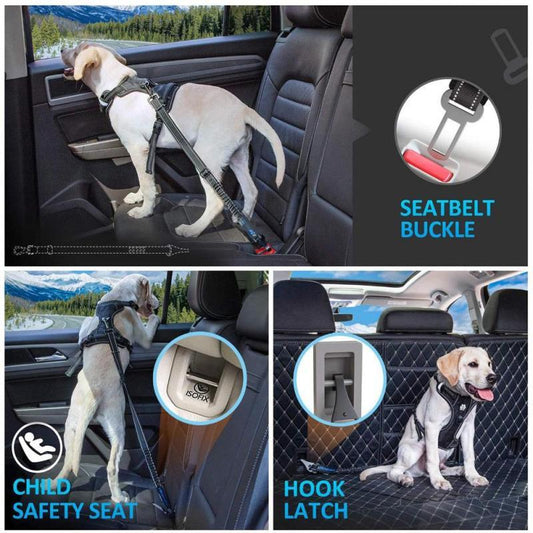 Les ceintures de sécurité pour chien en voiture : un accessoire de voyage essentiel - Tao-K9