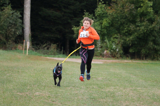 Les sports pour chiens - Tao-K9