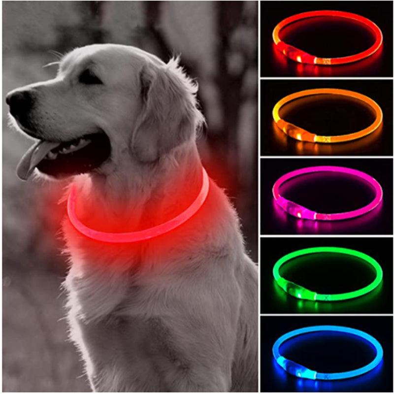 Un collier lumineux LED pour chien : pourquoi faire ? - Tao-K9