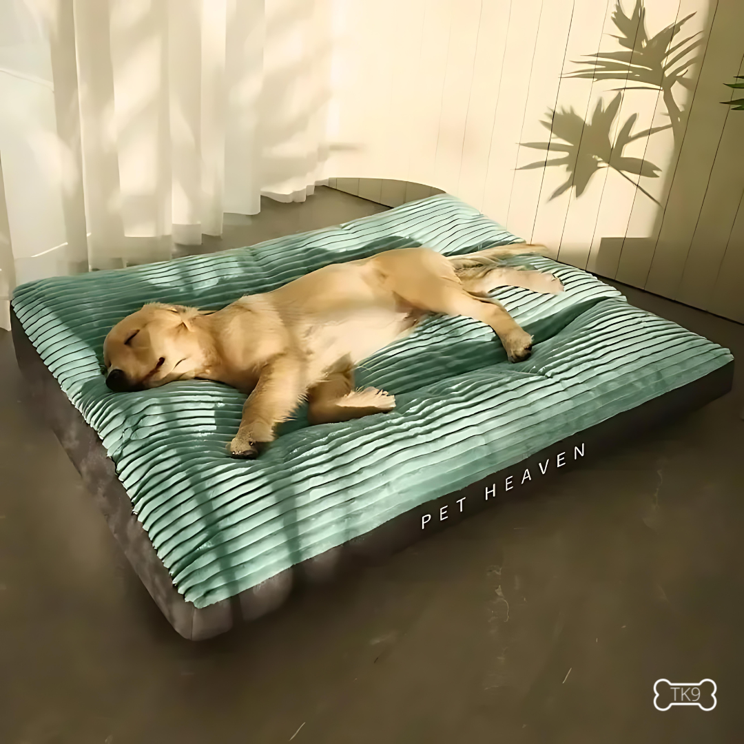 Lit pour Chien en Velours Côtelé – Confort Premium & Housse Lavable