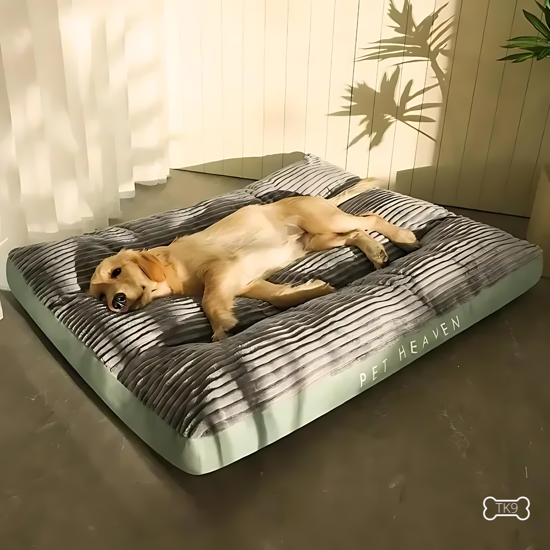 Lit pour Chien en Velours Côtelé – Confort Premium & Housse Lavable