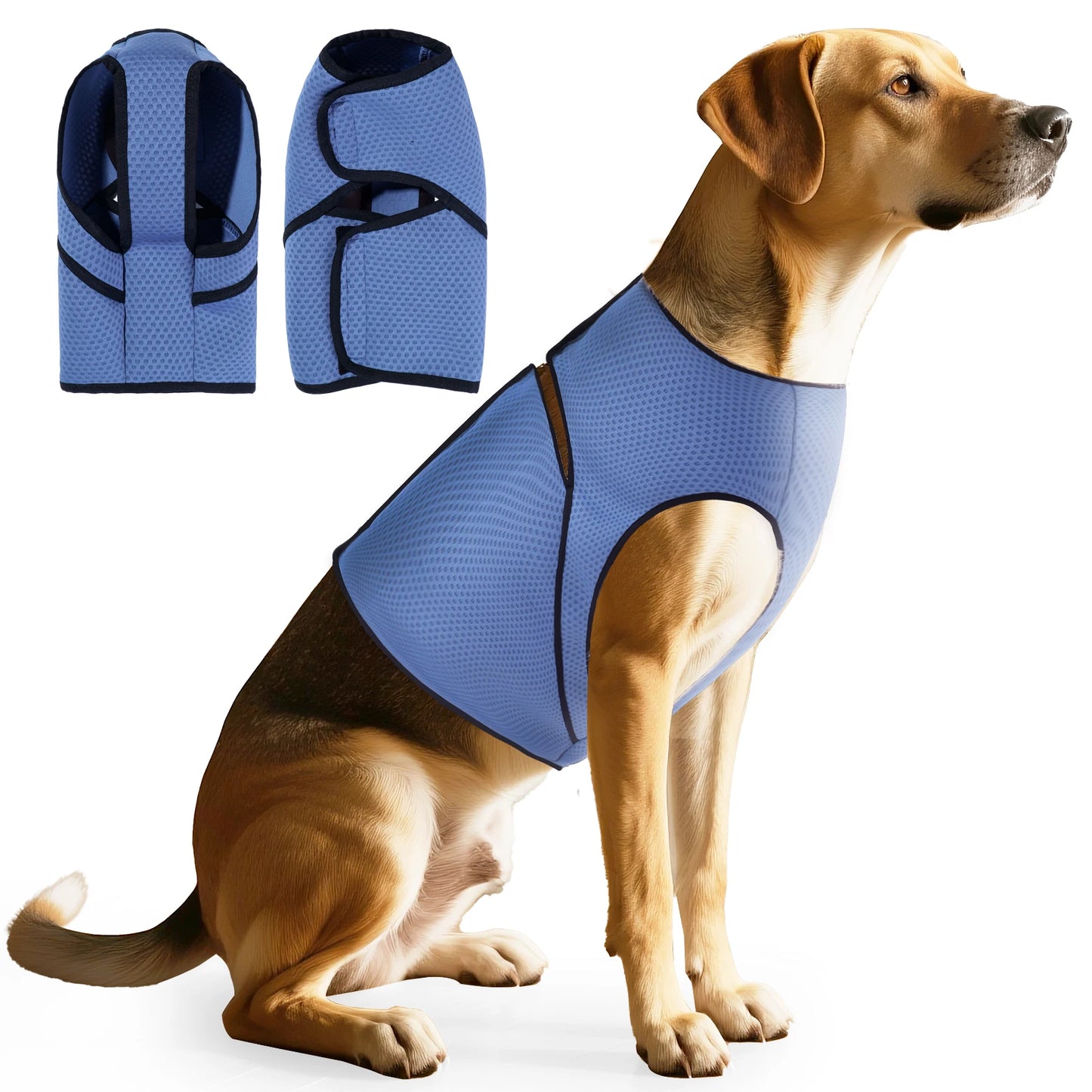 Gilet anti-anxiété pour chien en maille respirante, léger et apaisant