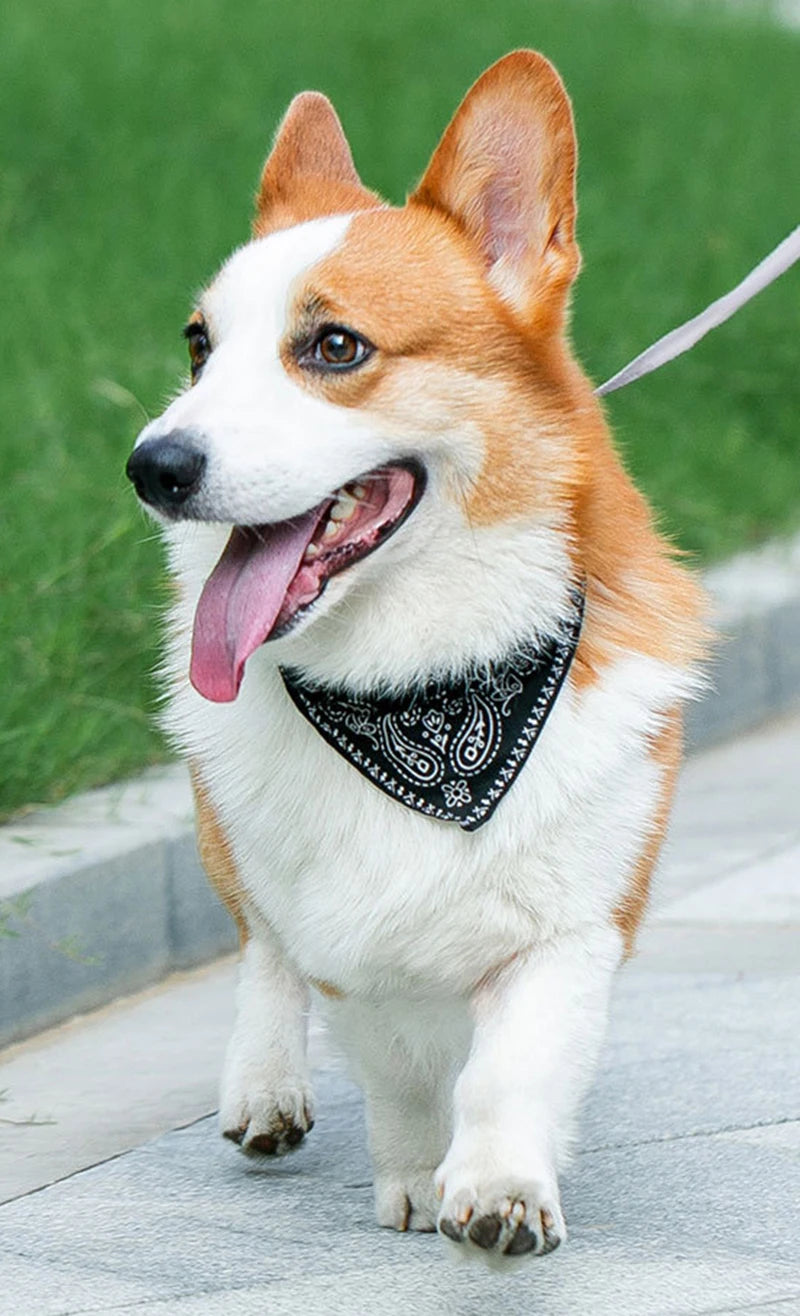 Collier bandana réglable pour chien et chat, foulard en simili-cuir