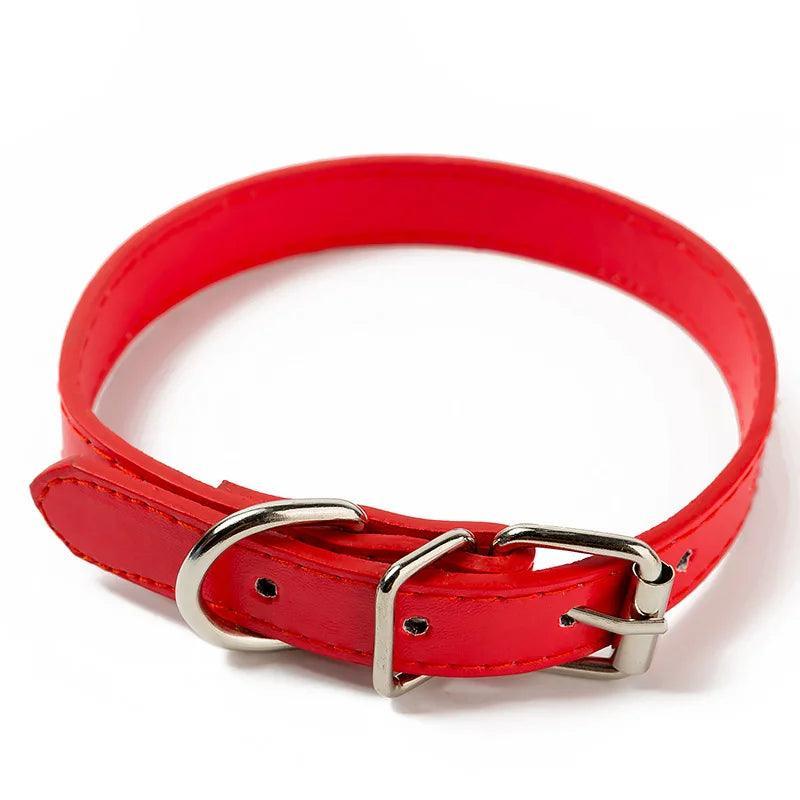 Collier Réglable en Cuir pour Chiens et Chats - Tailles XXS à L - Disponible en Noir, Rouge, Bleu, Jaune et Violet