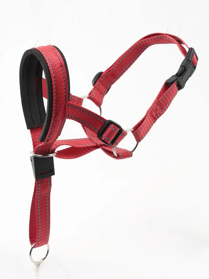 Licol anti-traction pour chien, collier de tête réglable