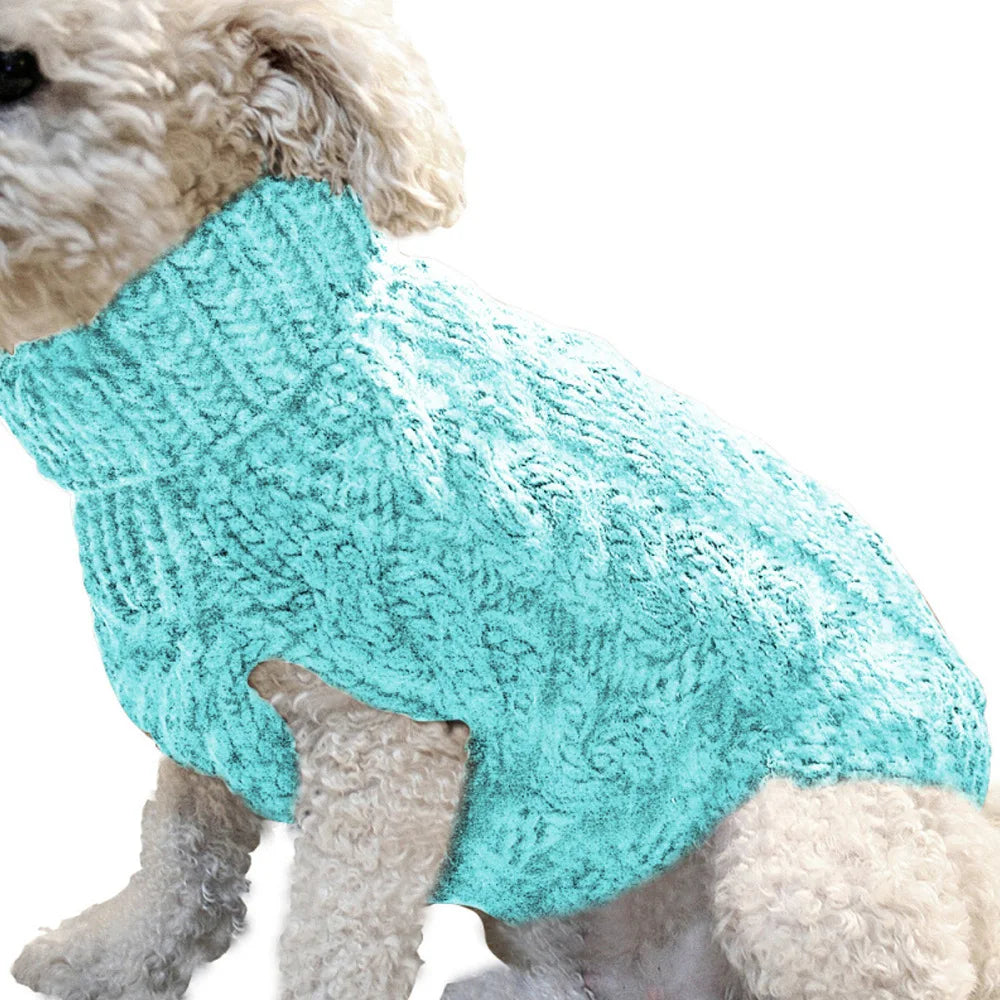 Pull tricoté torsadé pour petit chien, chaud automne-hiver