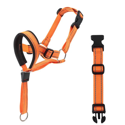 Licol anti-traction pour chien, collier de tête réglable