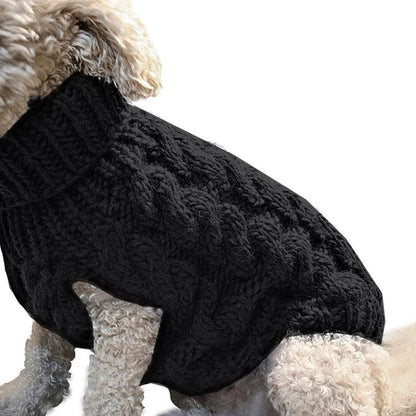 Pull tricoté torsadé pour petit chien, chaud automne-hiver