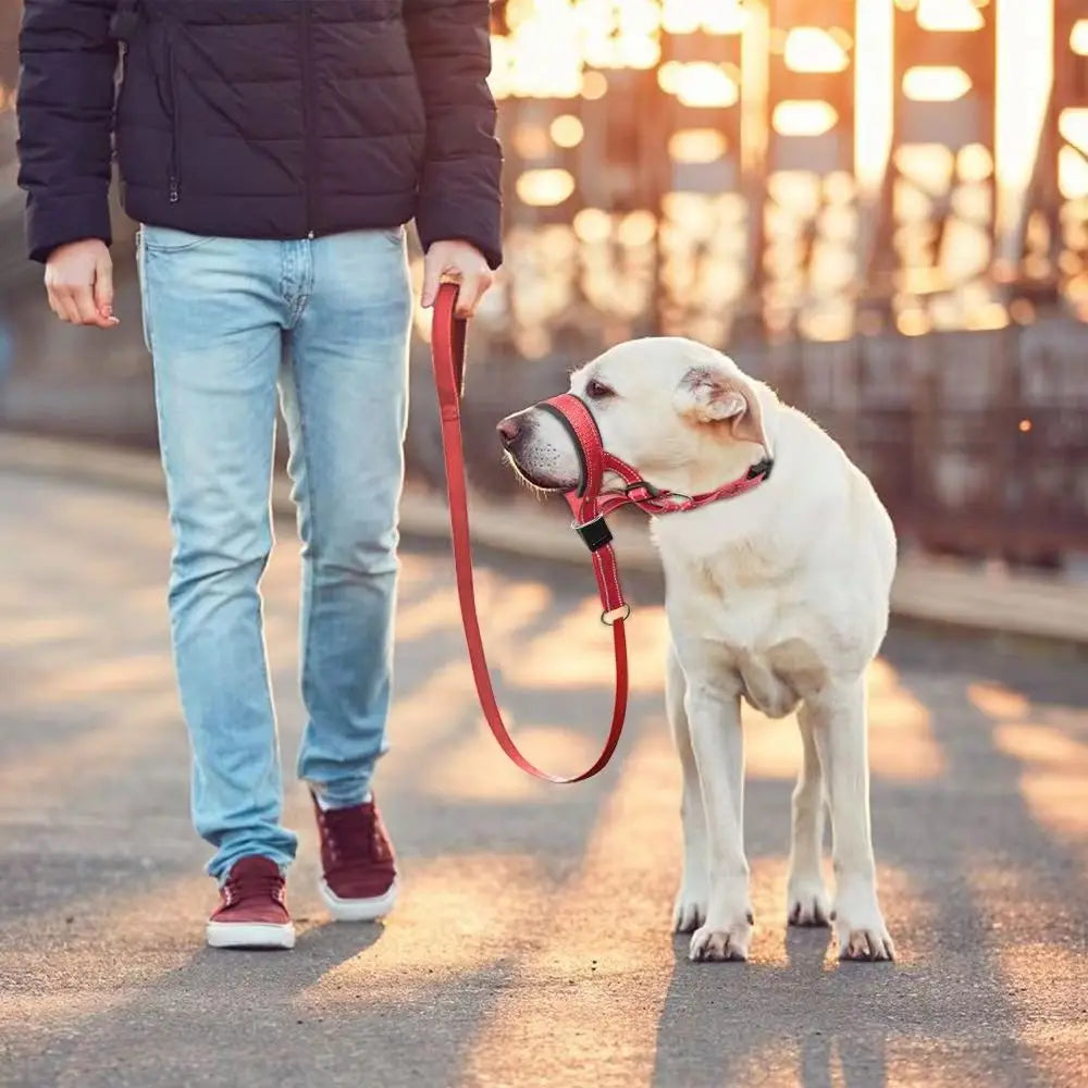 Licol anti-traction pour chien, collier de tête réglable