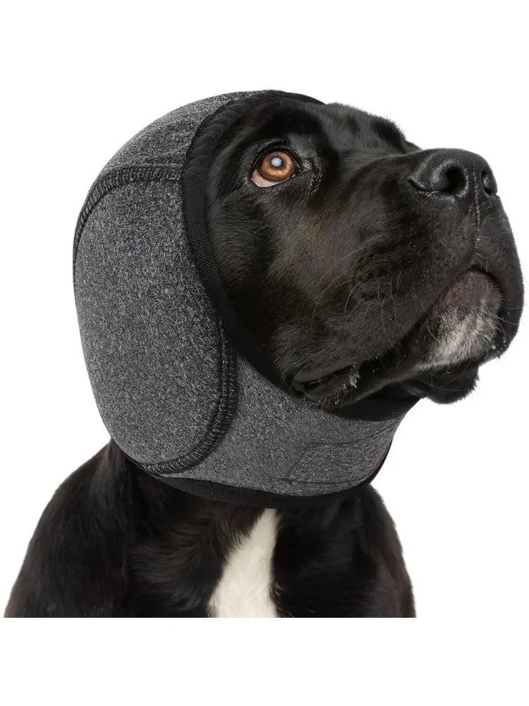 Cache-oreilles antibruit pour chien, snood apaisant et imperméable