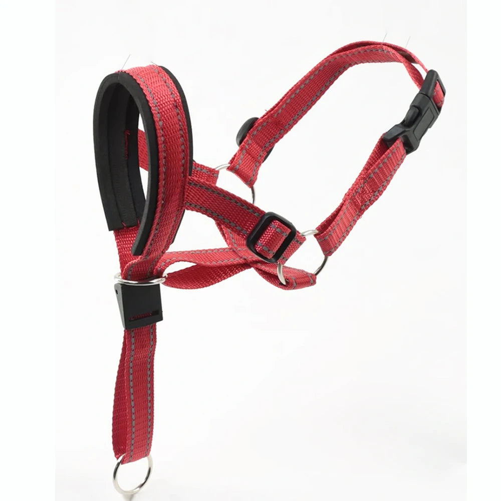 Licol anti-traction pour chien, collier de tête réglable