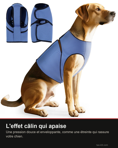 Effet câlin apaisant du gilet anti-anxiété respirant pour chien